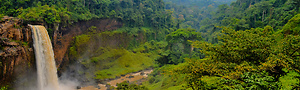 Cameroun