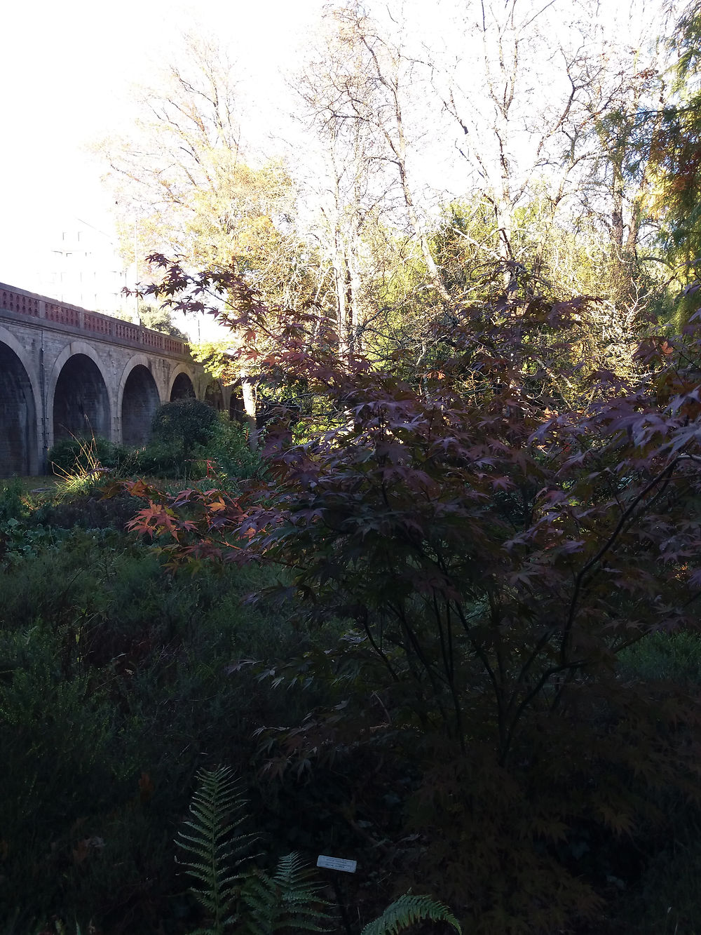 Balade dans le parc de Procé à Nantes