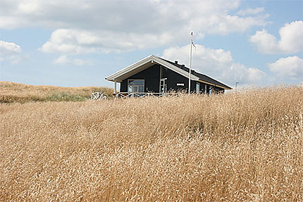 Une maison au milieu des champs