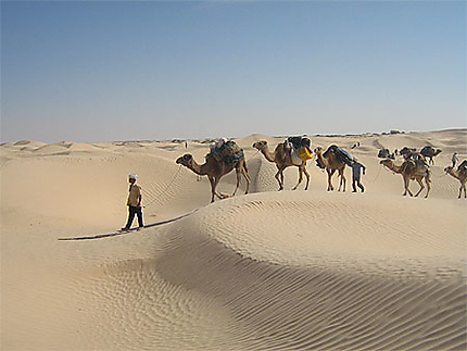 Tunisie, randonnée dans le désert tunisien