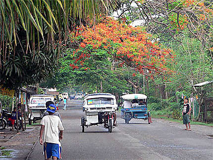 Rue à Puerto Princesa