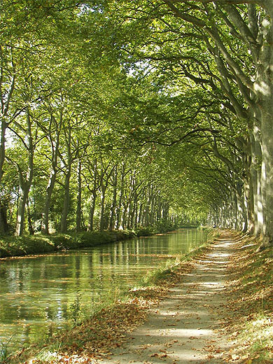 Canal du Midi Canal du Midi