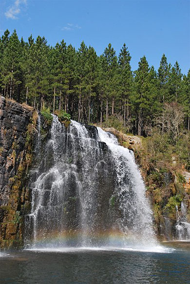 Forest falls sur la route des cascades Forest falls sur la route des cascades