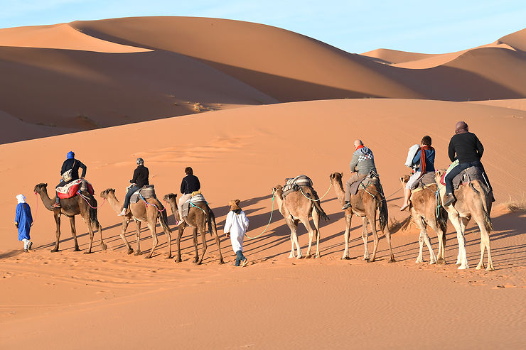 Randonner dans le désert : à dos de chameau ou à pied ?