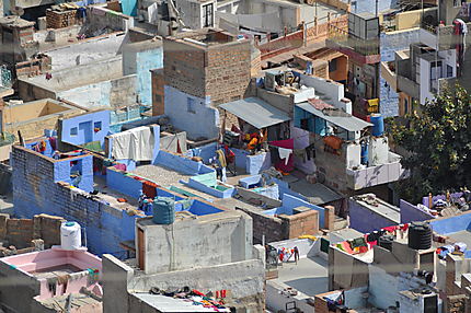 Maisons bleues de Jodhpur