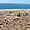 Fuerteventura, Canaries