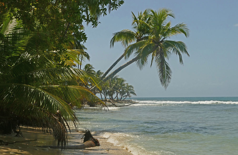 Les îles caribéennes