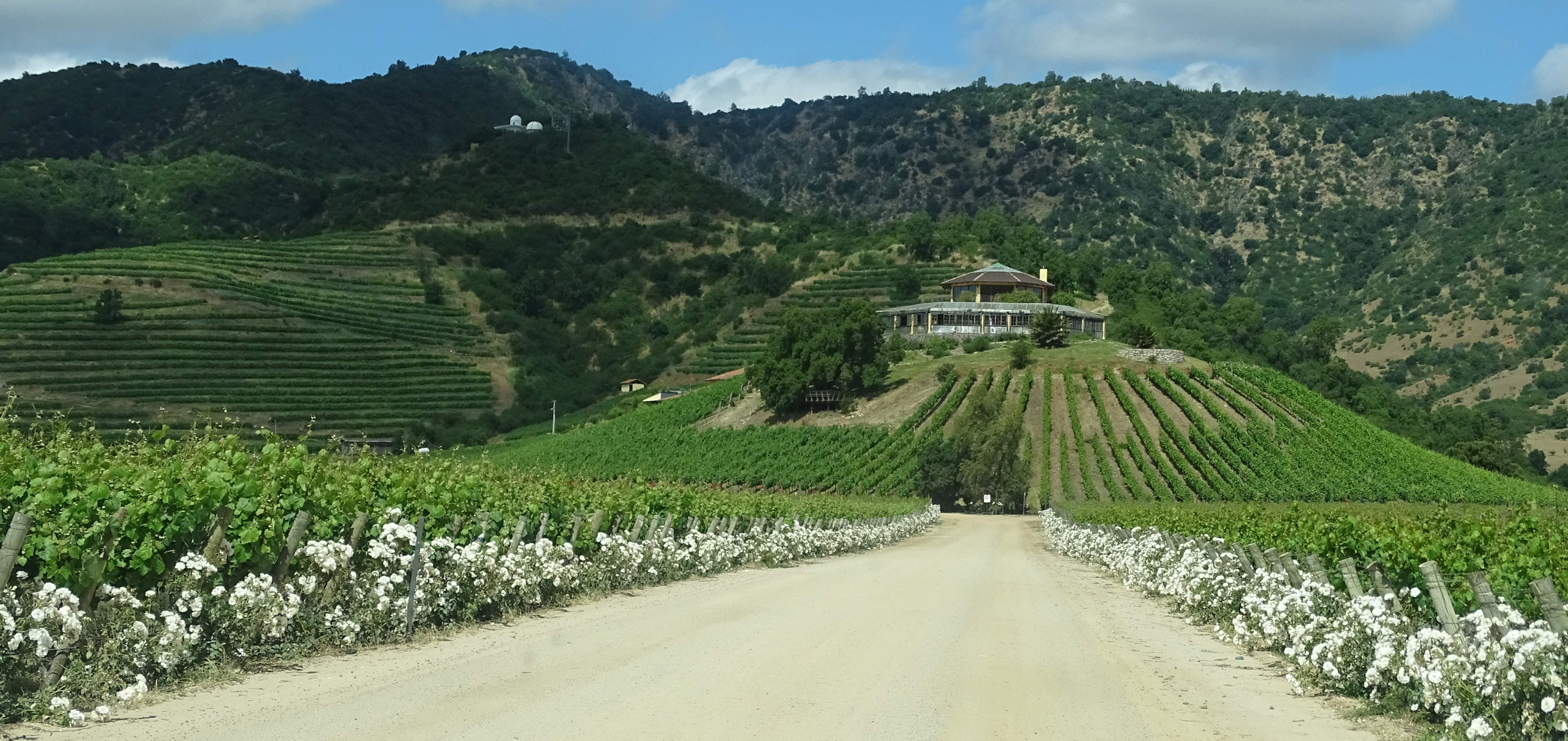 Belle ferme vignoble Belle ferme vignoble