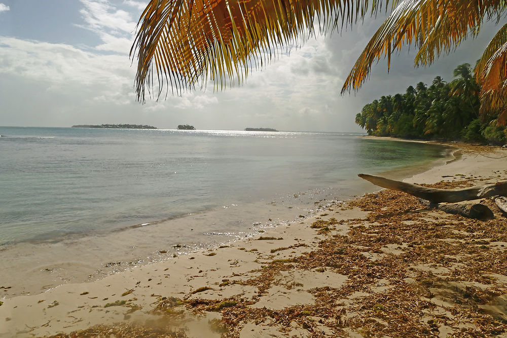 Une île caribéenne