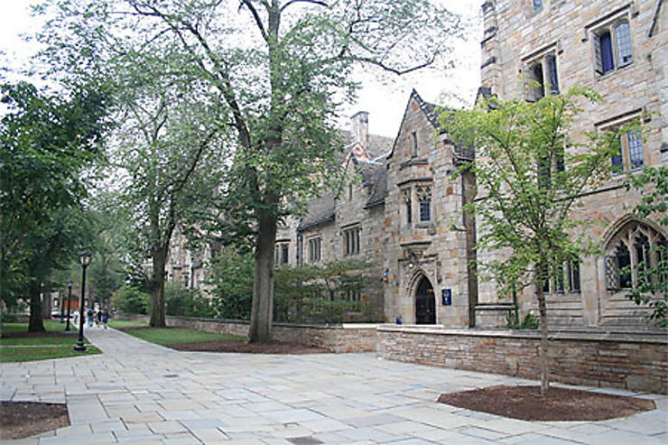 Yale University - Mayannick