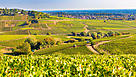 La Bourgogne : un vignoble unique au monde