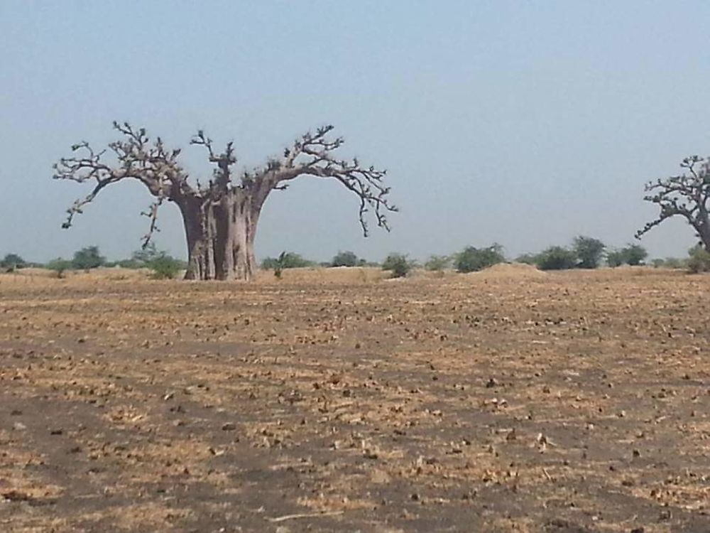 Rof village de brousse