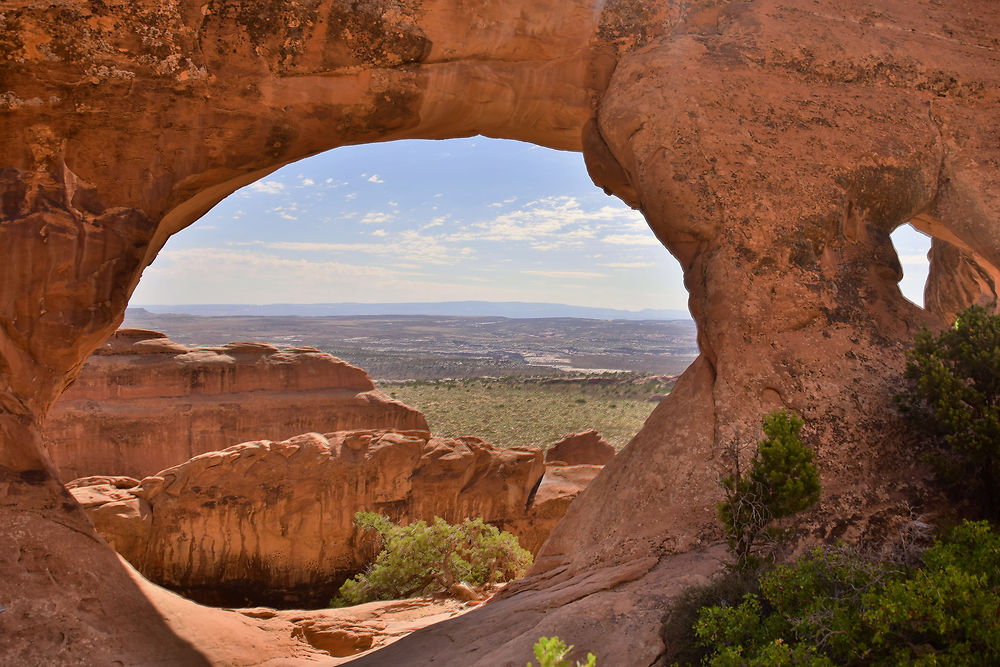 Quand la nature se fait musique : Partition Arch