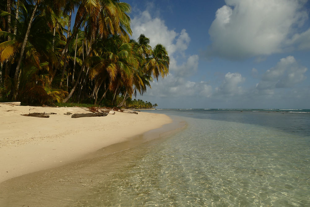 Une île caribéenne