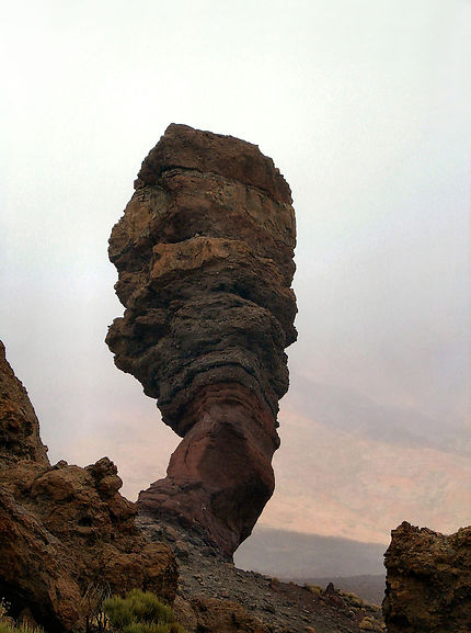 Roque Cinchado