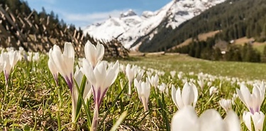 Toutes les couleurs du printemps