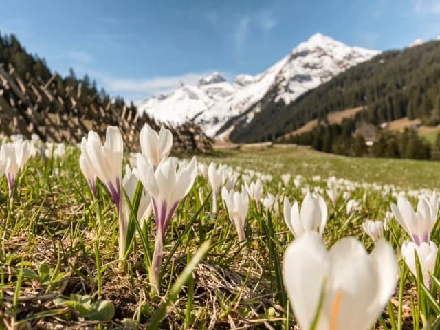Toutes les couleurs du printemps