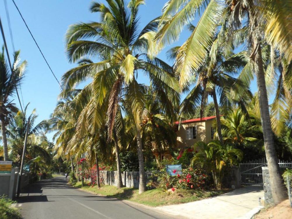 Rue de St François