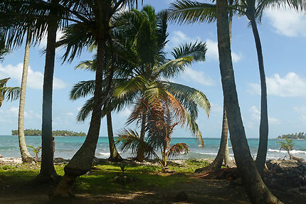 Une île caribéenne