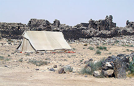 Tente de bédouins dans le désert de Jordanie