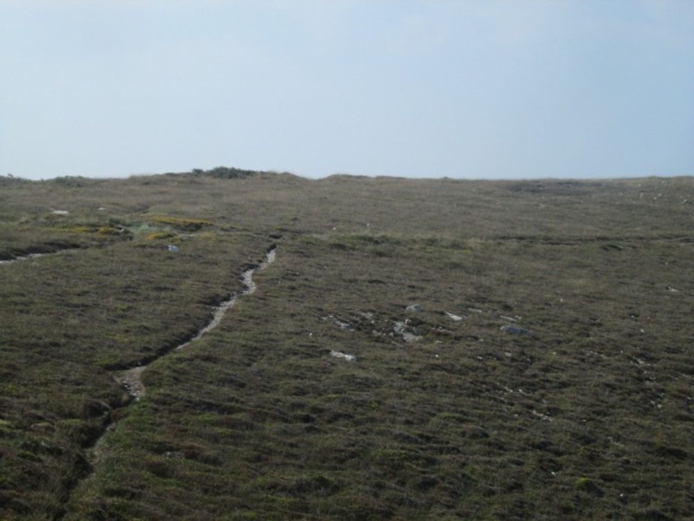 Sentier à travers la lande