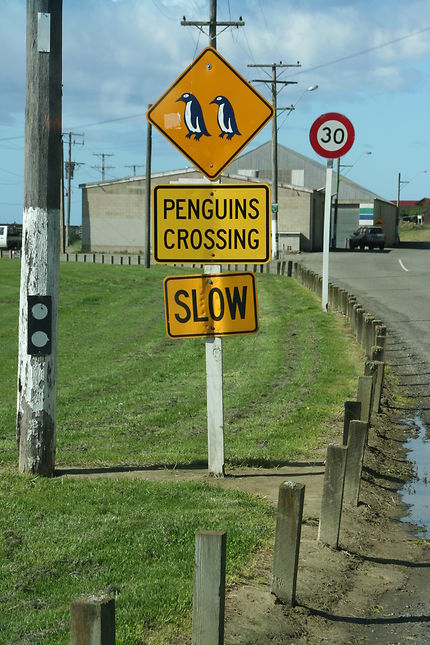 Panneau de signalisation particulier, Dunedin
