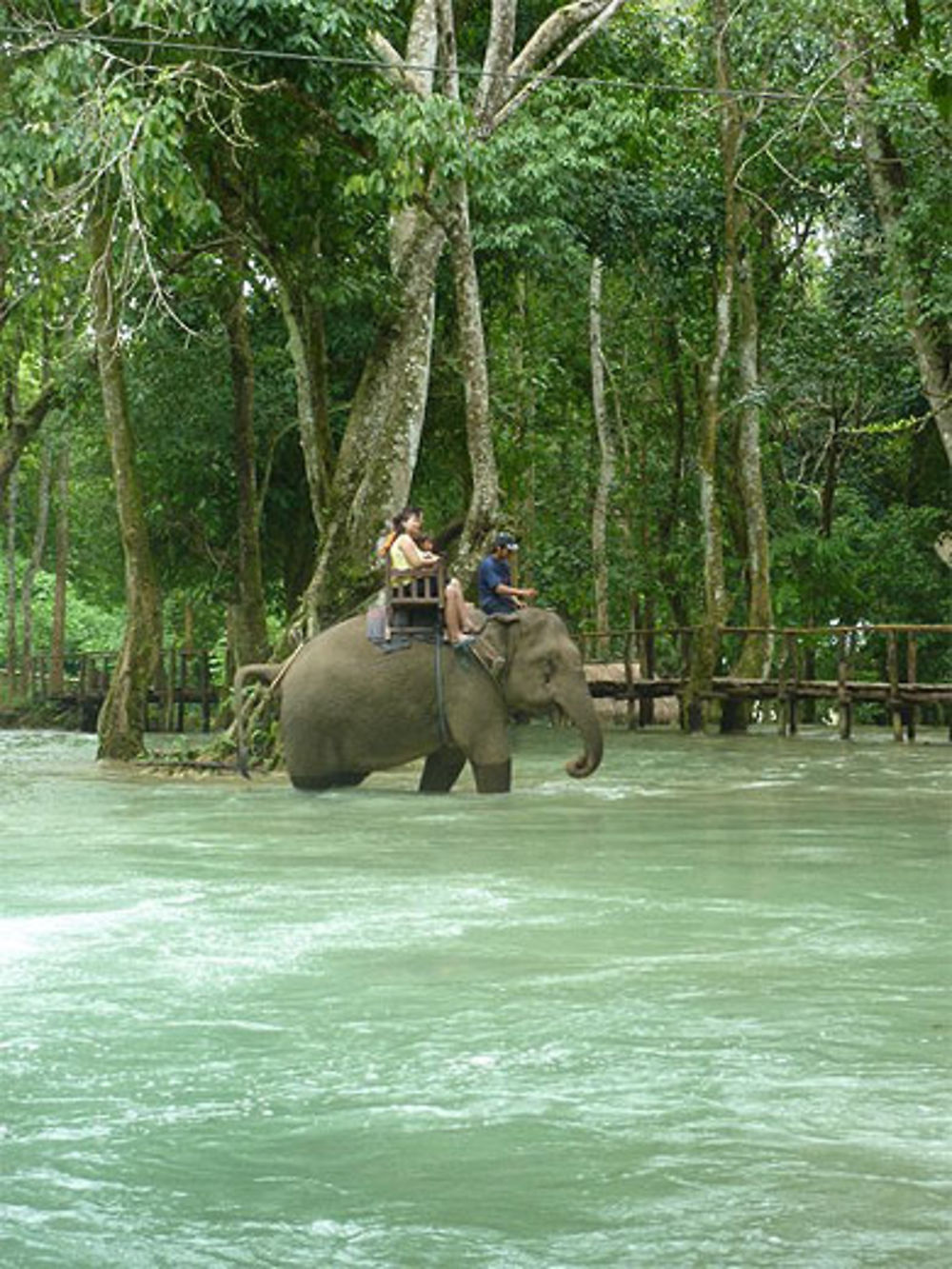 Les chutes de Tat Sae, près de Luang Prabang