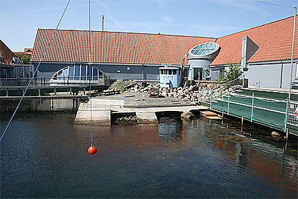 Fjord & Baelt Centret