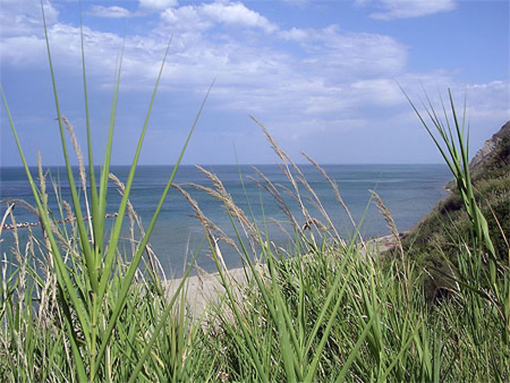 Plage et nature