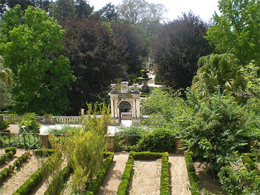 Coimbra - Jardin Botanique