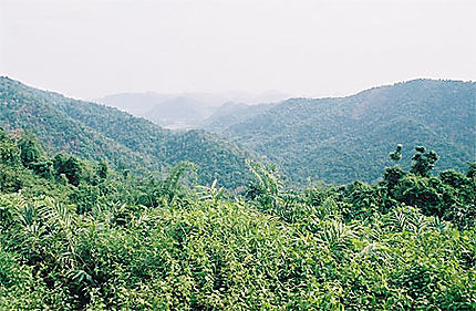 Parc national de Khao Yai