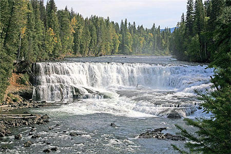 Chute Dawson Chute Dawson