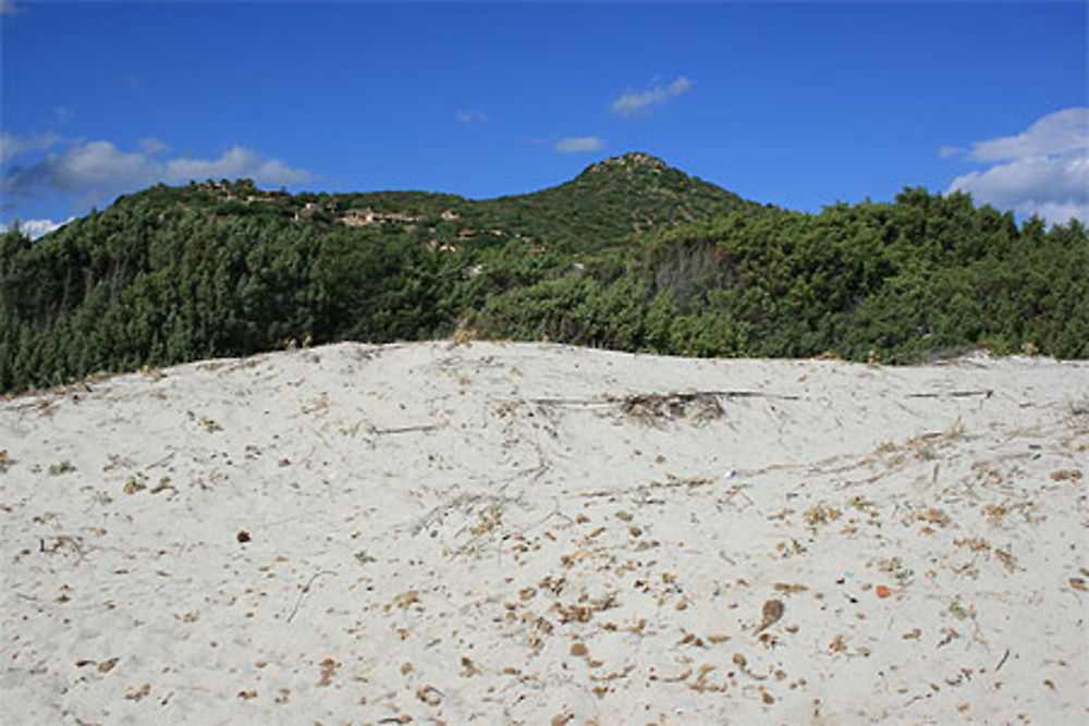 Dunes de la plage