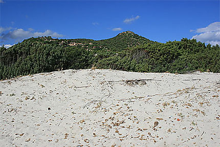 Dunes de la plage