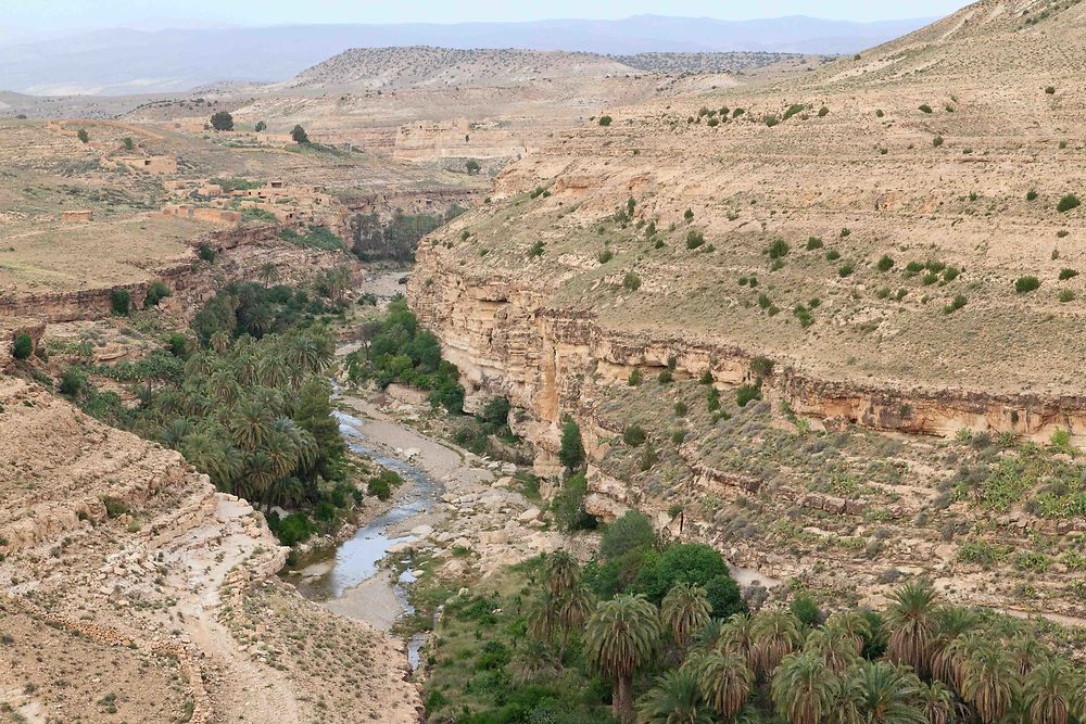 Aurès - Rhoufi - Vue sur l'oued au fond du canyon