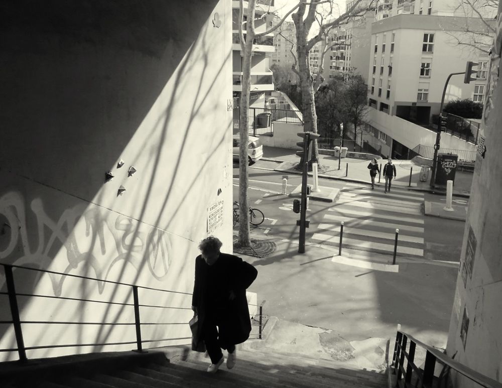 Sur les pas du célèbre photographe Willy Ronis