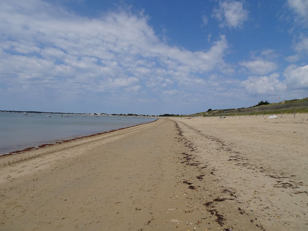 Plage des sables d'or au calme