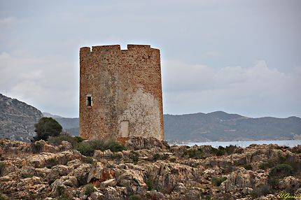 Torre Porto Budello