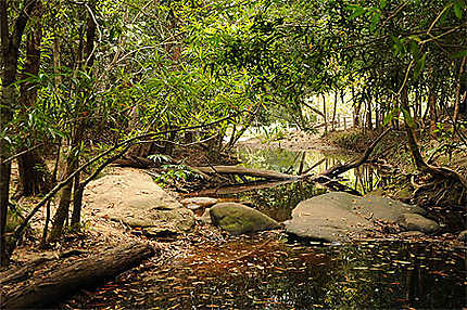 La rivière à Kbal Spean