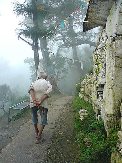 Mc Leod Ganj (Dharamsala) - marche dans le brouillard