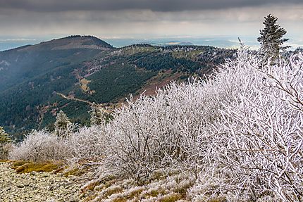 Massif du Pilat - Paysage printemps hiver