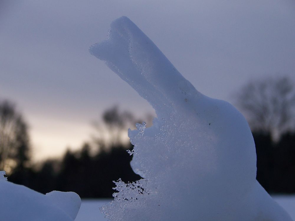 Lapin de noël