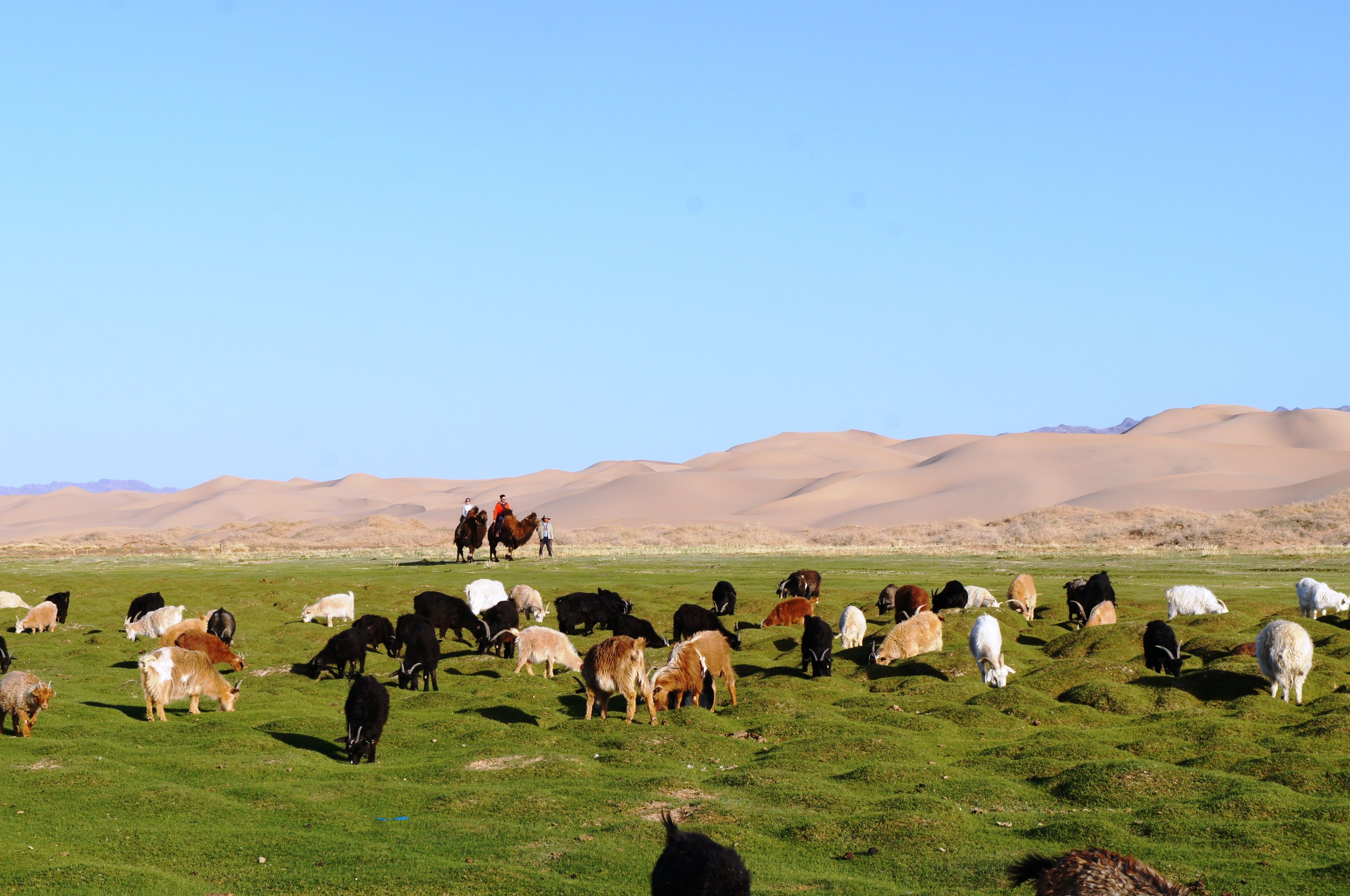 Khan Khongor, Mongolie