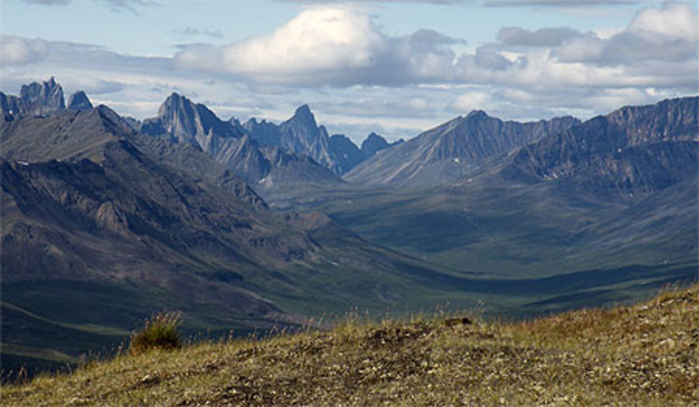 Tombstone Territorial Park