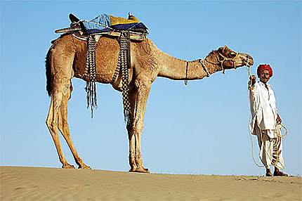 Le chameau et son chef