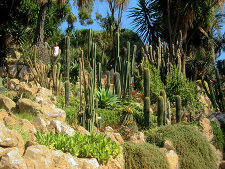 Jardin botanique d'Hanbury Jardin botanique d'Hanbury