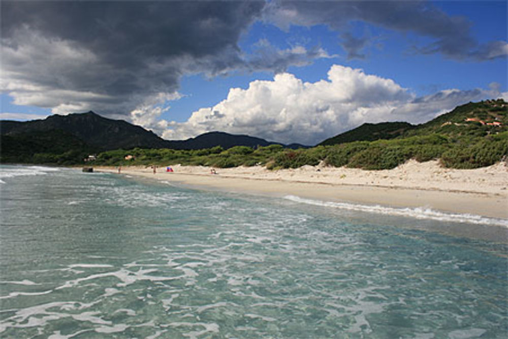 Superbe plage de Campulongu