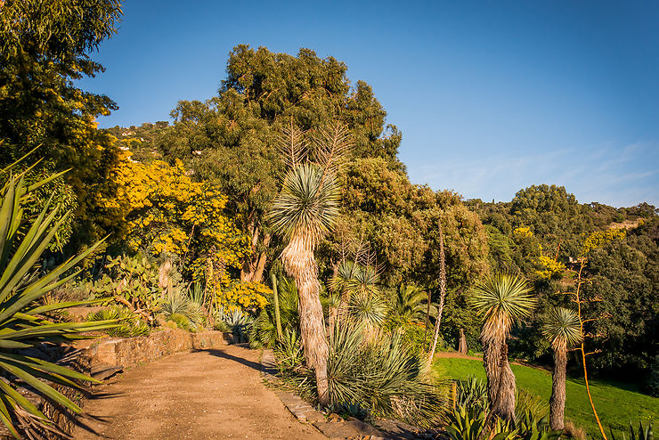 Route du Mimosa, étape 2 : Le Jardin des Méditerranées au Rayol-Canadel-sur-Mer