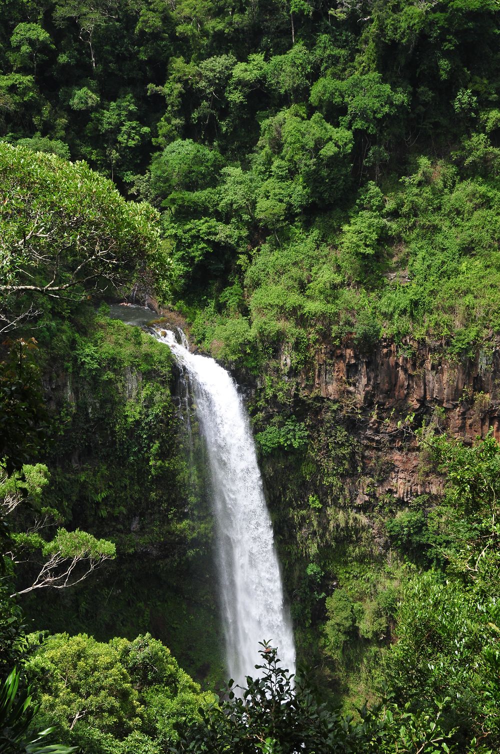 Cascade de la montagne d'Ambre