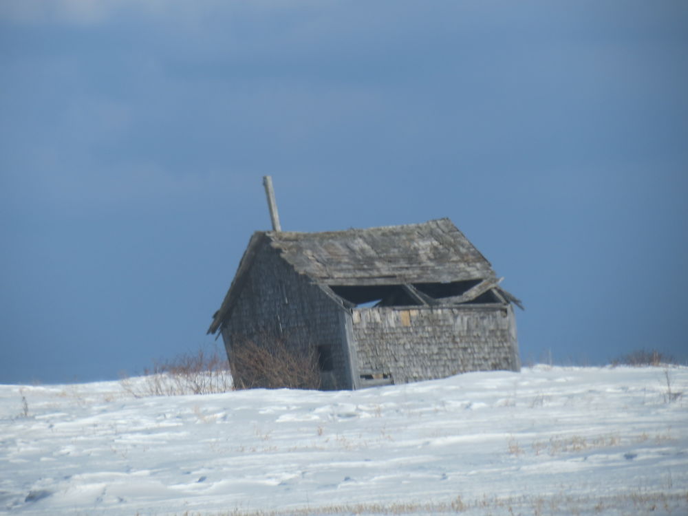 Ma cabane au Canada à St-Damase